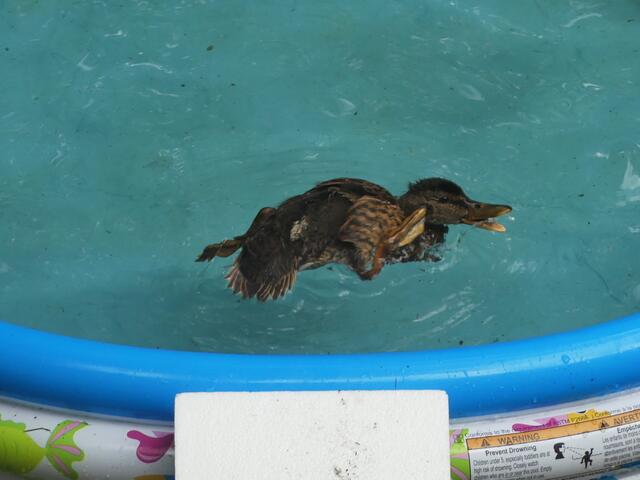 staunste was - meine Joga Übung