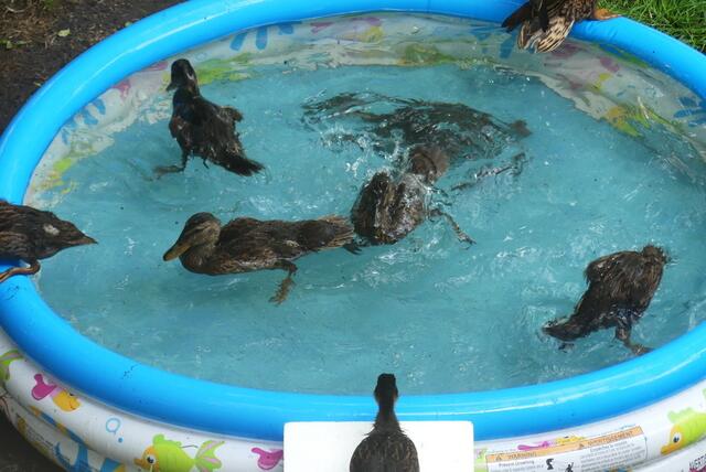 für alle ist genug Paltz da