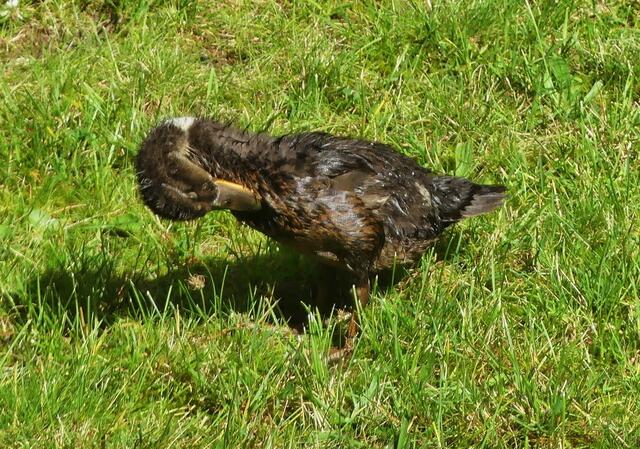 komme gleich - muss mich noch ein wenig schön machen