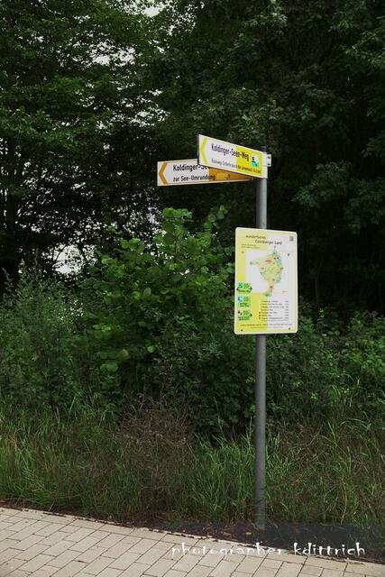 Welchen Weg schlagen wir denn ein?