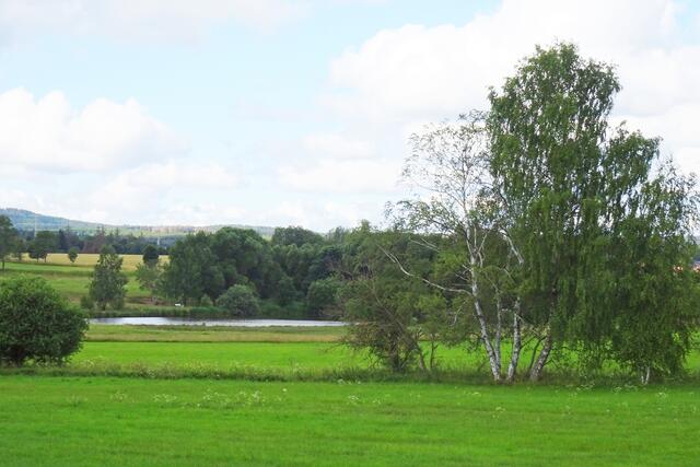 Blick auf den Mittelteich bei Hasselfelde
