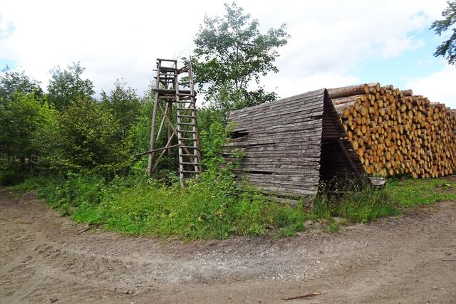 die Schutzhütte am  Siebengründeweg ist stark renovierungsbedürftig