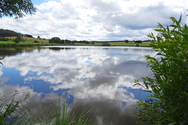 Mittelteich