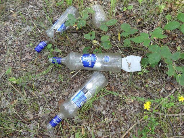 Wodka, erst war die Flasche voll, danach die Saufköppe