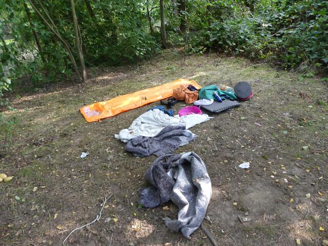 wildes campen