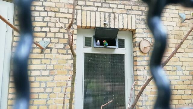 Die Historische Kuranlagen und Goethe-Theater Bad Lauchstädt !