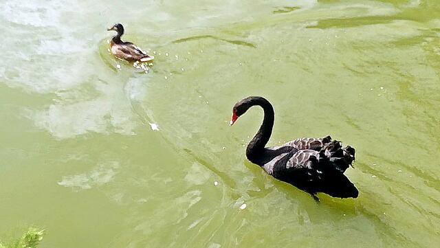 Die Historische Kuranlagen und Goethe-Theater Bad Lauchstädt !