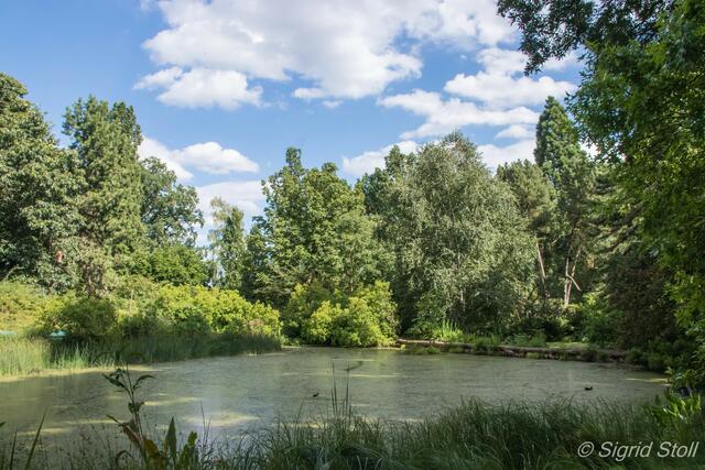 Blick auf den Moorweiher