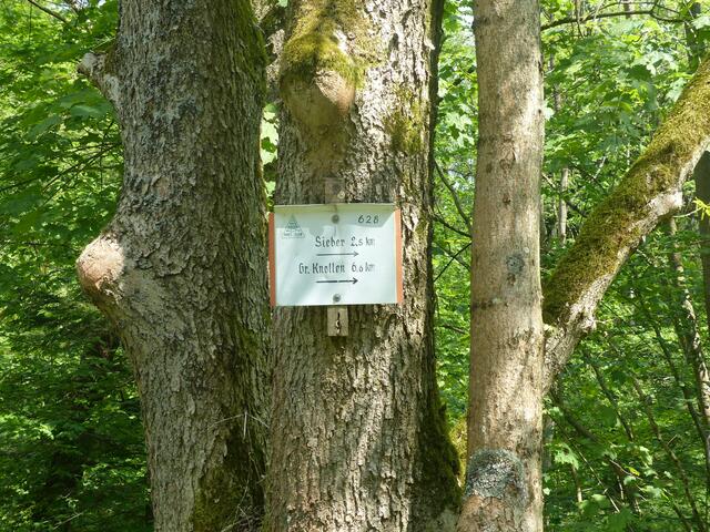 Schöne Wanderwege überall im Harz