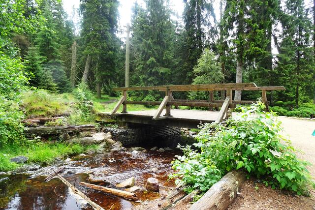 die Oderbrücke, hier kann man das moorhaltige Wasser gut erkennen
