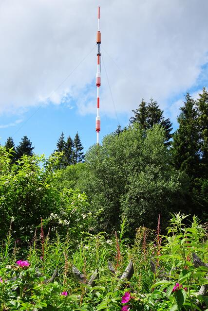 Sendemast am Torfhaus