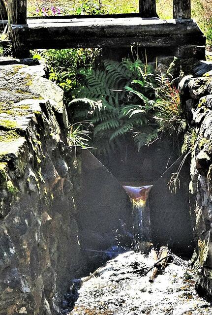 ein kleiner Zufluss des Oderteichs mit interessanter Spiegelung