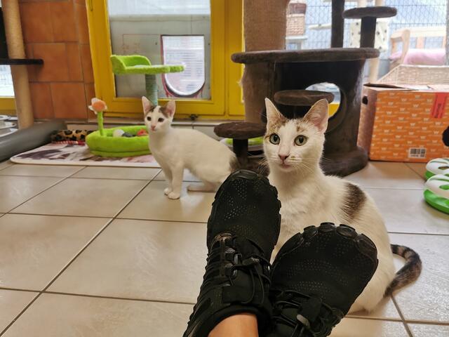 Lina (Mama, vorne) und Lennox