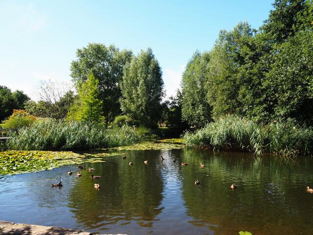 Erster Blick im Park