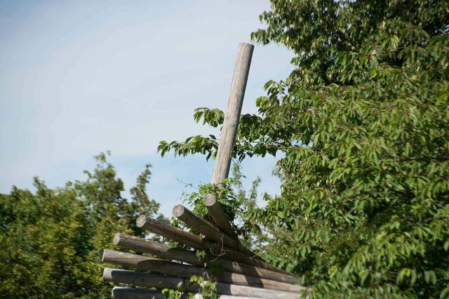 Hoch hinaus
