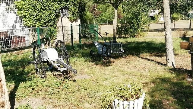 Südpark Merseburg im Tierpark mit O'Brain (29.7.2020) !