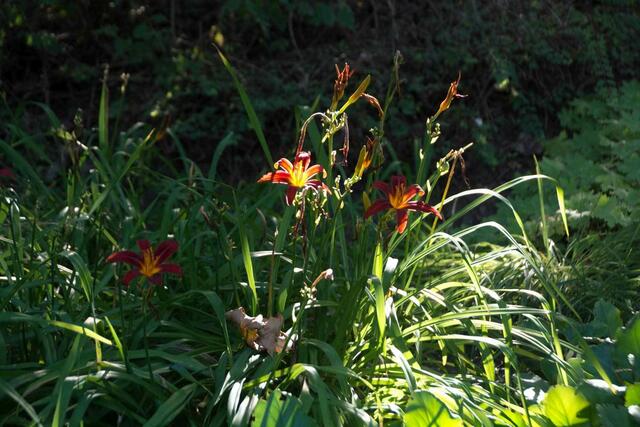 Licht und Schatten