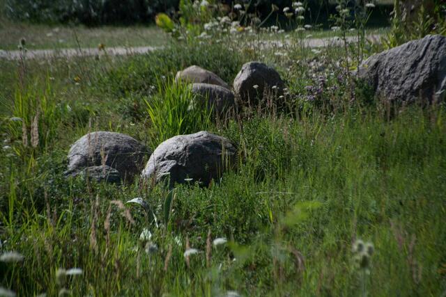 Hinkelsteine?