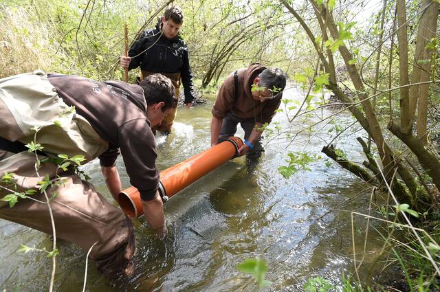 Einbringen der Brutbox zur Hucheneierbrütung | Foto: Marcus Merk