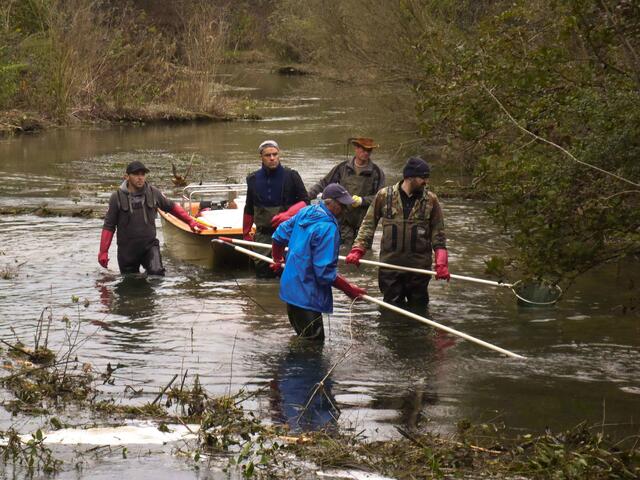 Elektrobefischung zur Fischbestandserhebung | Foto: Hubert Schuster