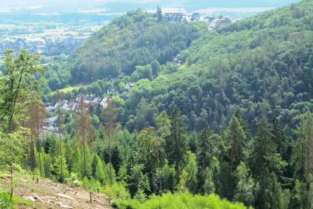 In die andere Richtung geht der Blick über den Herrenacker im Tal hoch zur Oberstadt und nach rechts zum Burgberg.