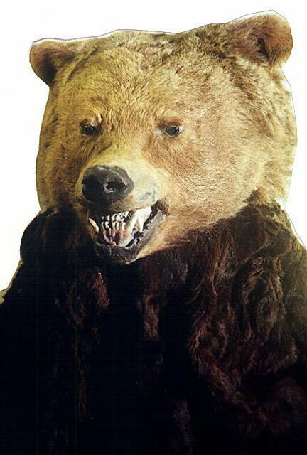 Bärenmaske , Kamtschatka