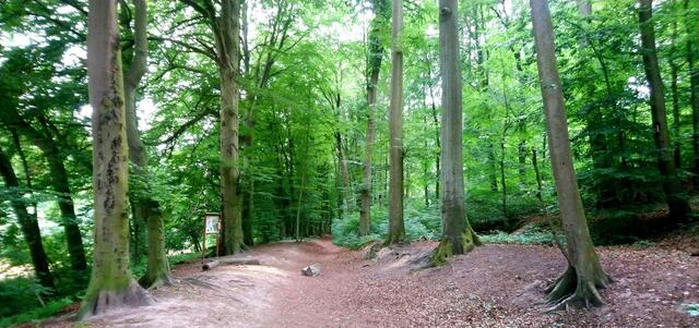 Hier beginnt das Bullerbachtal.