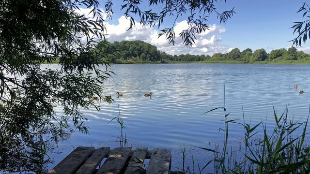 Anglerparadies am „Angelsee“ bei Wismar Wismar
