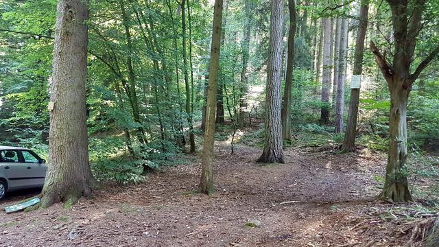 Beginn des Fuchspfades direkt oberhalb des Parkplatzes