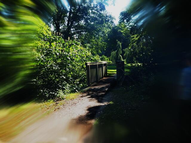 der Weg zum Teich im Park Burgdorf