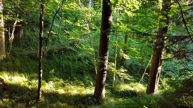 Der Weg 2
