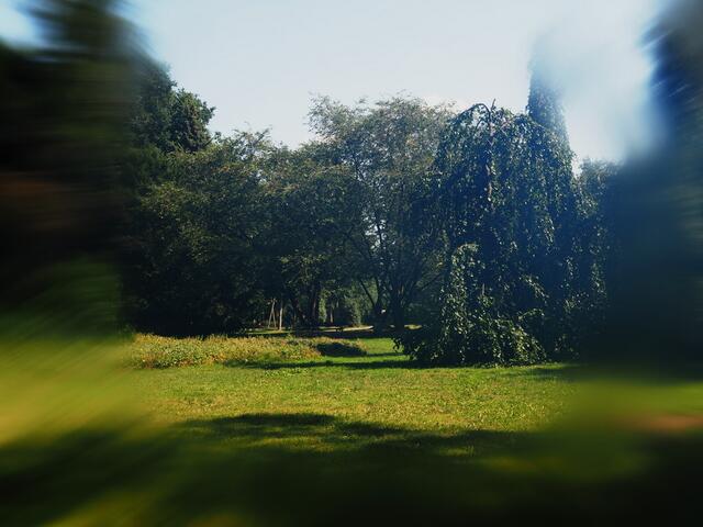 im Park