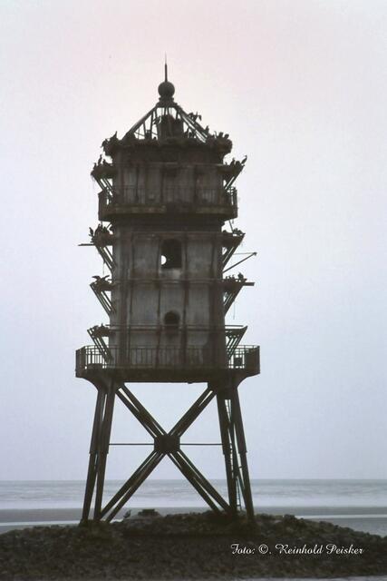 Alter Kormoran Leuchtturm  !