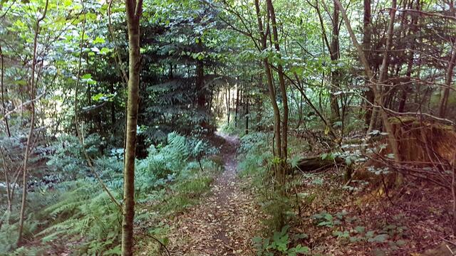 Der Weg 3