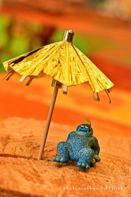 ..wenn's doch so warm ist...
