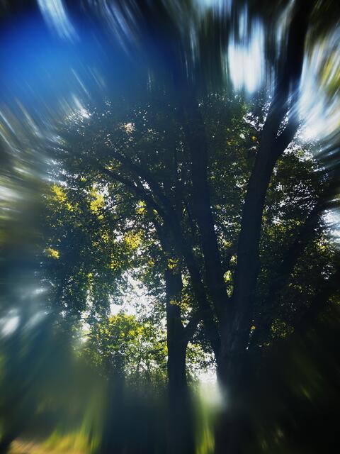 im Park Burgdorf