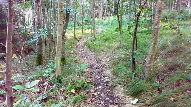 Der Weg 4