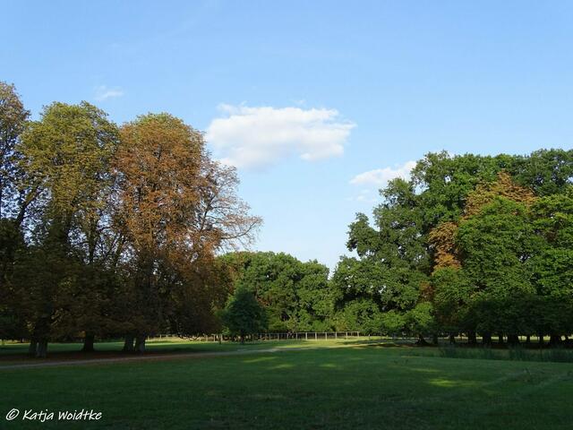 Abendstimmung im Tiergarten Hannover (Foto: Katja Woidtke)