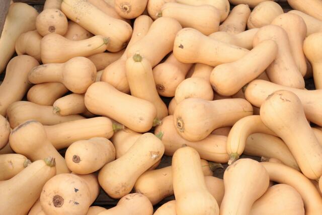 Butternut