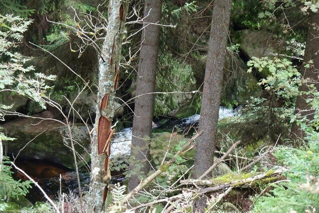 Granitfelsen im Tal der Ecker