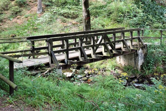 Brücke im Radautal