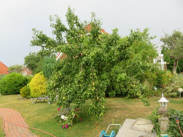 Bie jetzt ist noch kein Ast gebrochen.