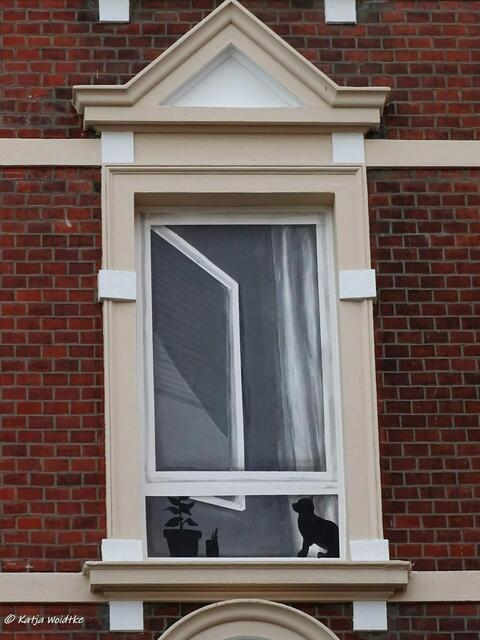 Ins Fenster geschaut - Graffiti in Hannover Linden (Foto: Katja Woidtke)