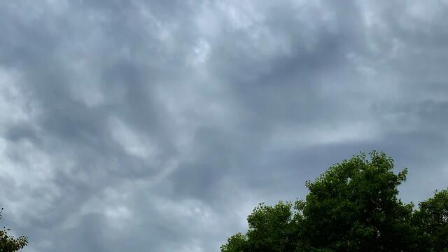 21. August 2020. Guten Morgen! Wann bekommen wir endlich einmal Regen! Bleibt gesund!
