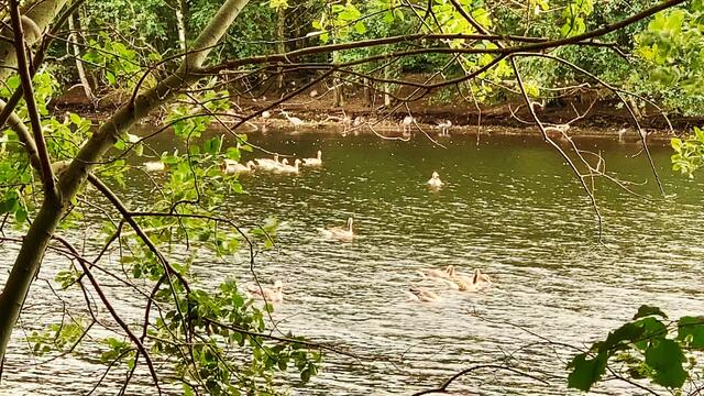 27. August 2020. Altwarmbüchener See. I. Bleibt gesund!