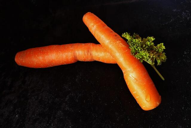 Karotten sind auch lecker
