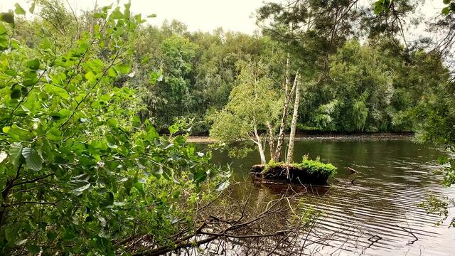 27. August 2020. Altwarmbüchener See. I. Bleibt gesund!