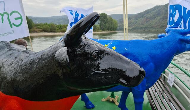 Faironikas an Bord der Cäcilia