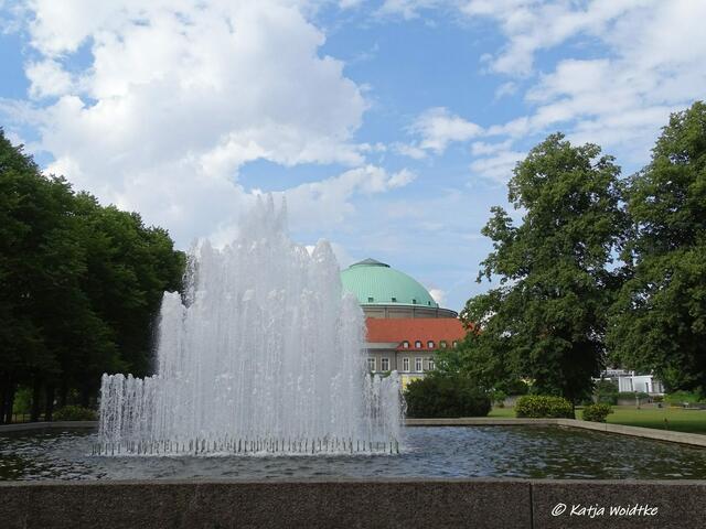 Von der Sonne geküsst - Wasserspiele im Stadtpark Hannover (Foto: Katja Woidtke)