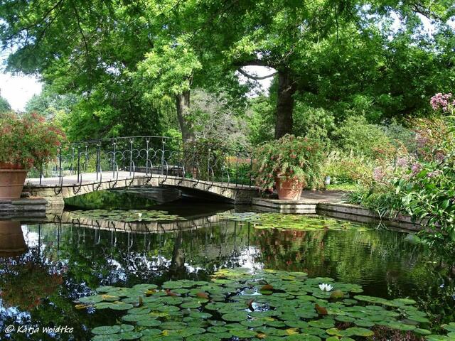 Von der Sonne geküsst -  idyllisches Plätzchen an den Wasserbecken im Stadtpark Hannover (Foto: Katja Woidtke)